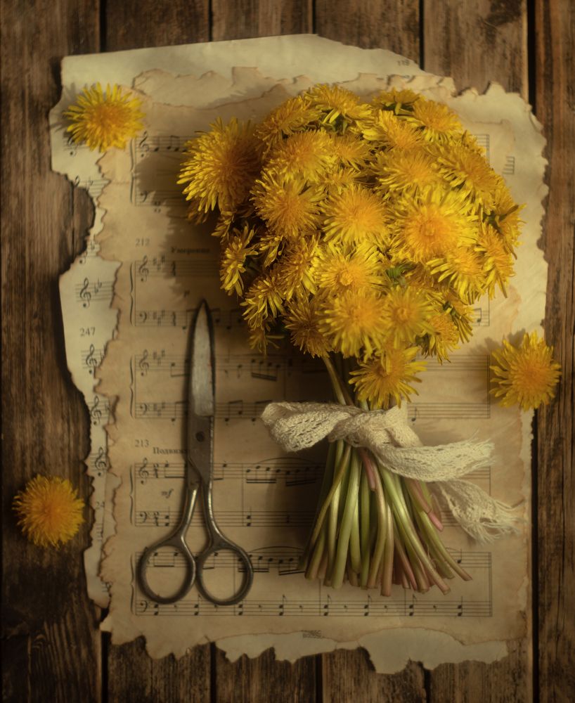 Photograph by Марина Парахина