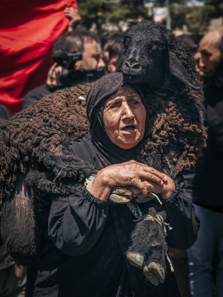 Photograph by hamed khalili