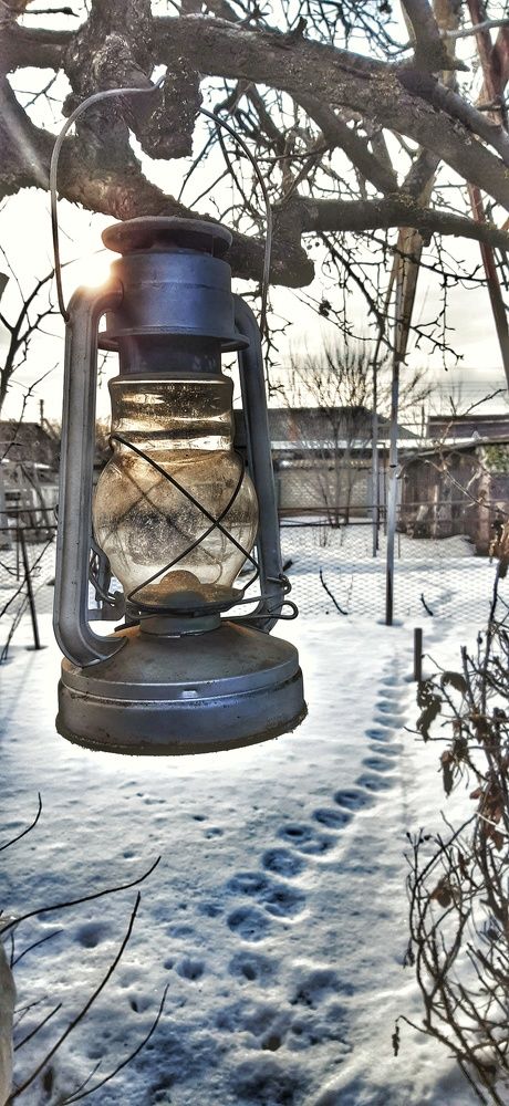 Фотография автора Наталья Соболь