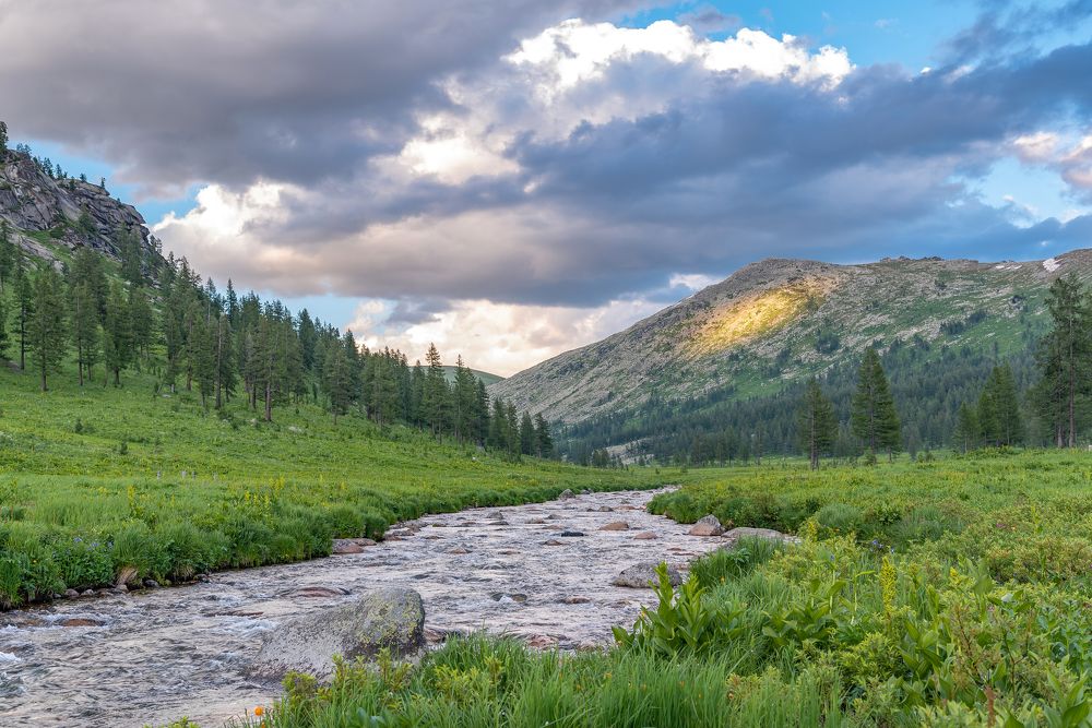 Photograph by Алексей Торлопов
