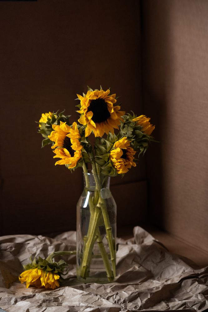 Photograph by Maria Tulchinskaya