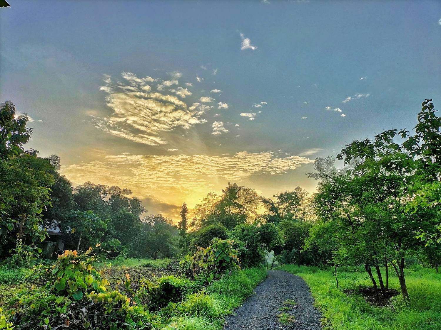 Mobile photography
