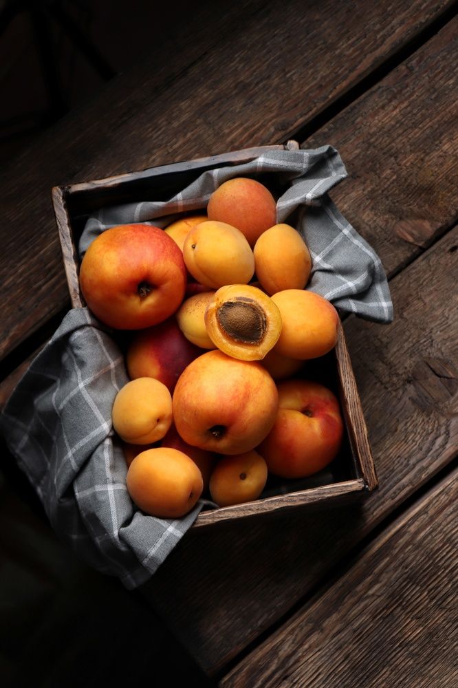 Photograph by Светлана Губич