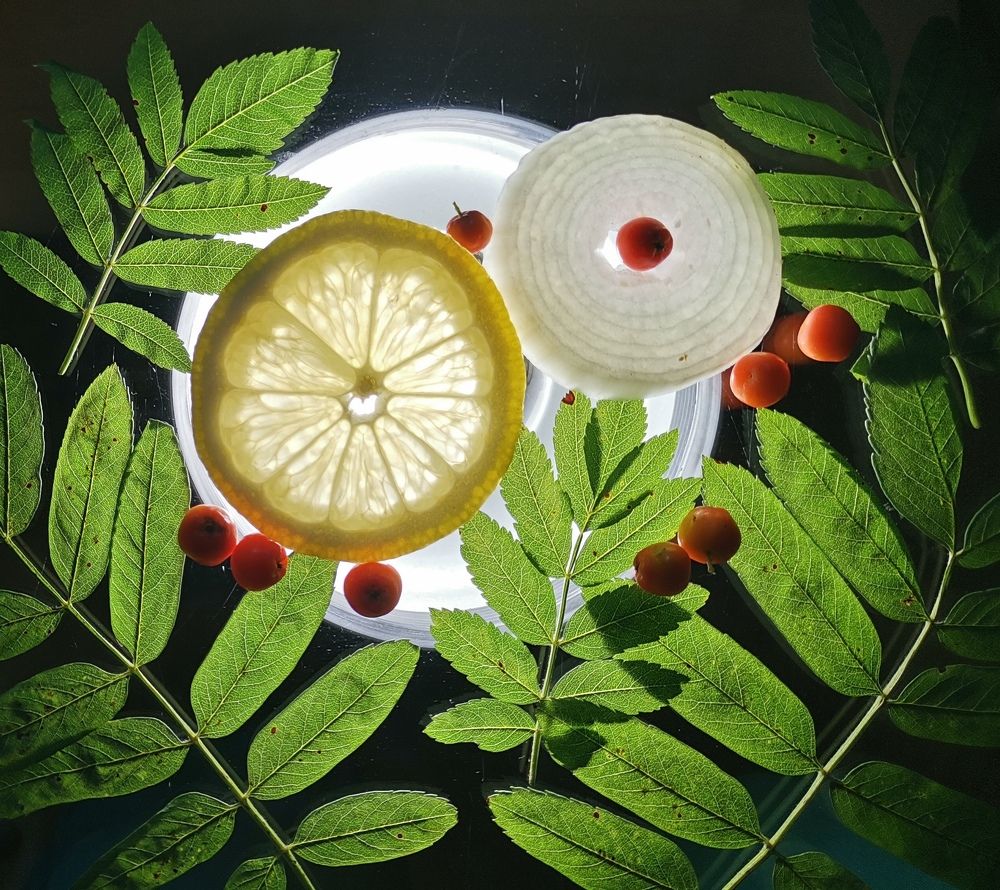 Photograph by Ирина Садовникова