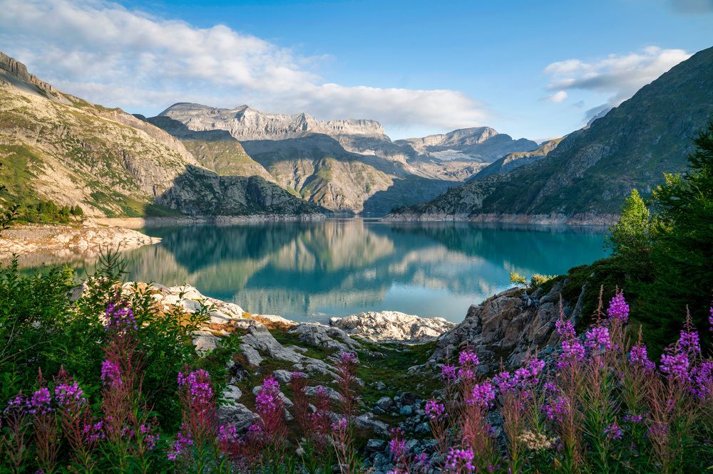 Photograph by Jean pierre