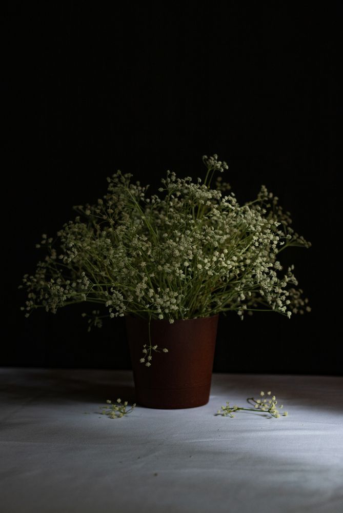 Photograph by Марина Магадиева