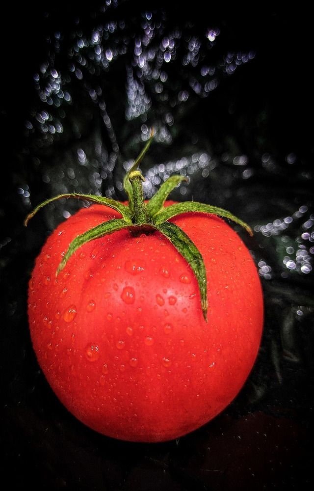 Фотография автора Наталья Синицына