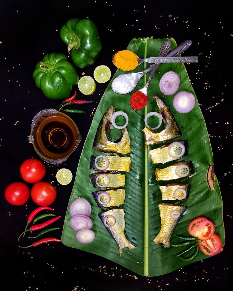 Fishes in Daily Life