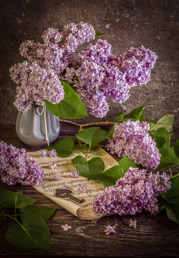 Photograph by Ольга Семина