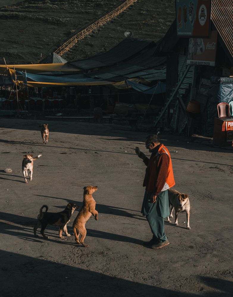 Photograph by Shanavas K T