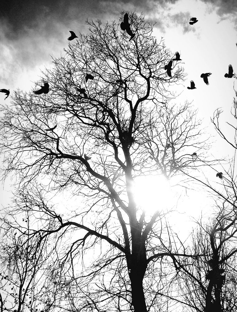 Photograph by Mehdi Mator