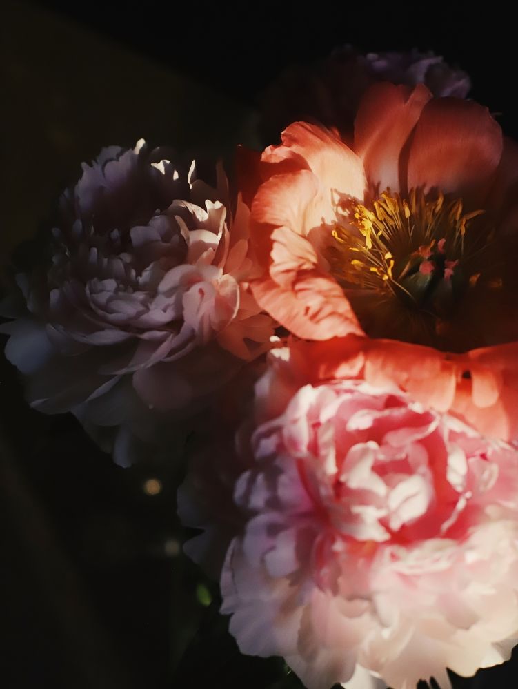 Photograph by Анастасия Русских