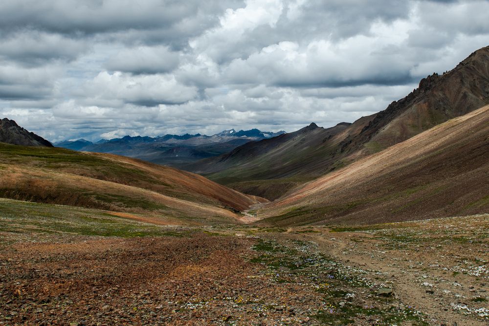 Photograph by Ahmad Bilal Cheema