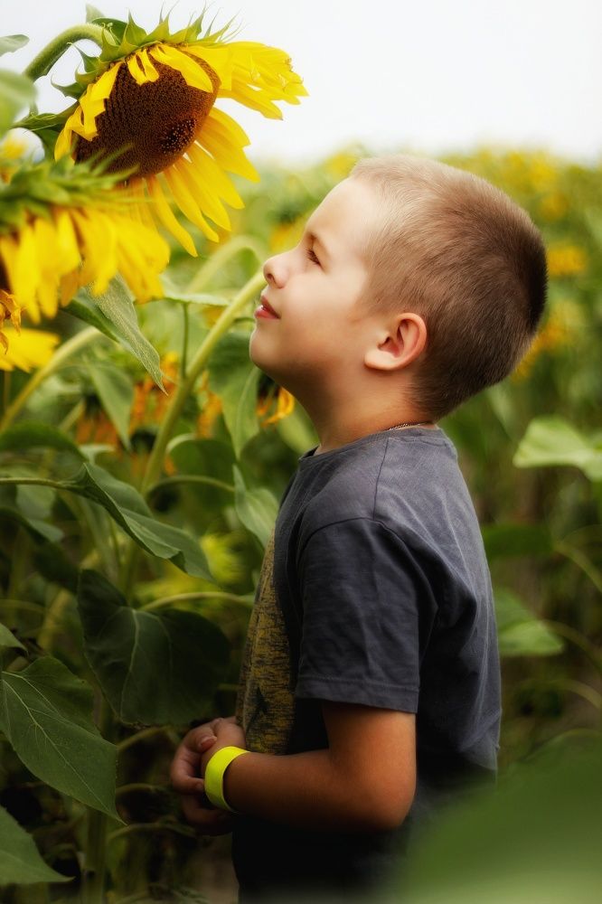 Photograph by Петр Анисимов