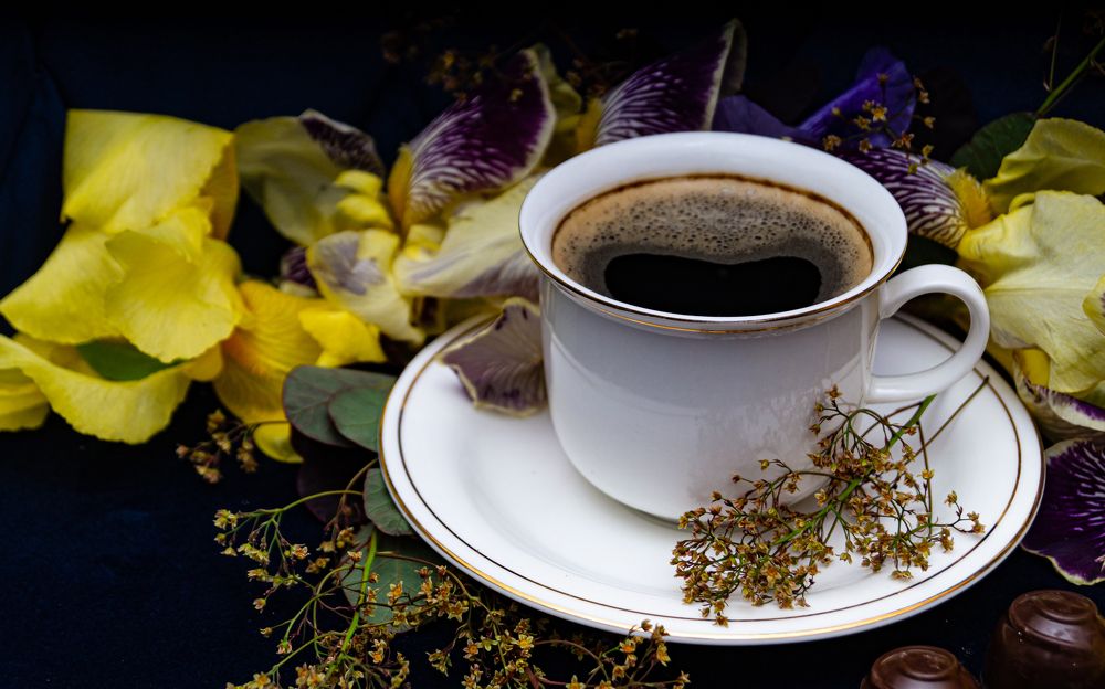 Фотография автора Natallia Kirpichova