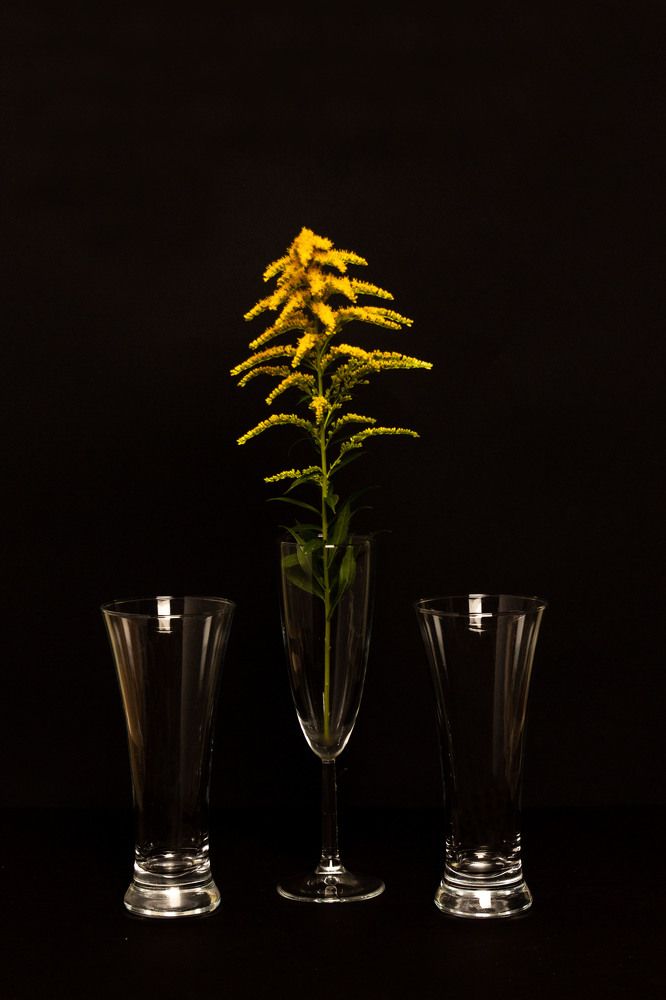 Photograph by Эльвира Халимулина