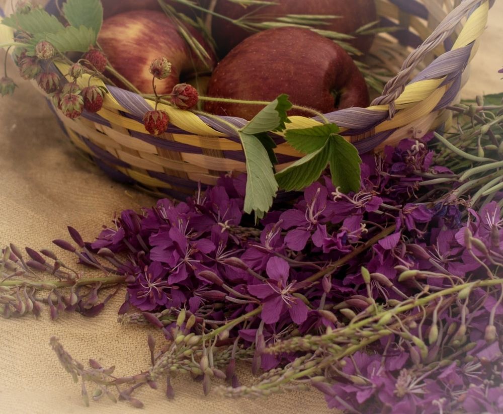 Photograph by Наталья