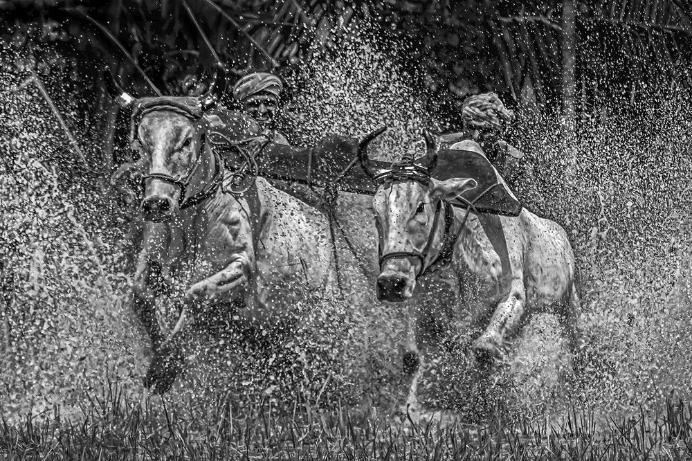 Photograph by Saumi Biswas