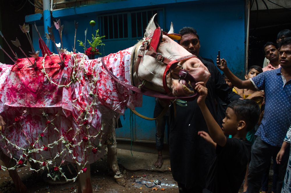 Hey, little boy don't touch my bridle