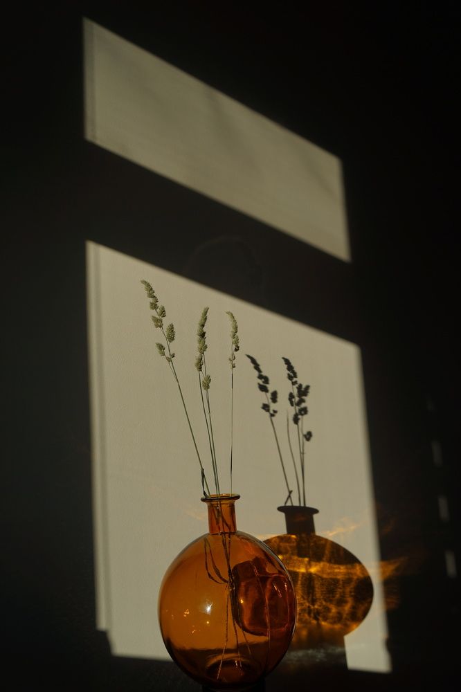 Фотография автора Ирина Зайцева