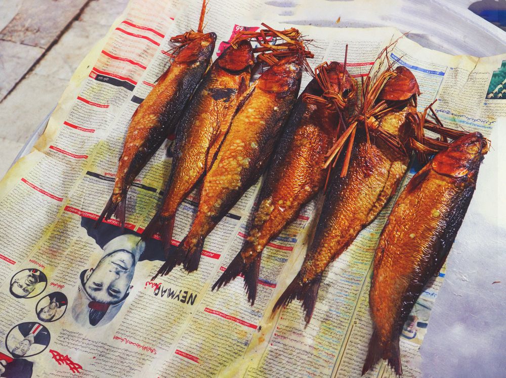 Photograph by Faezeh Fazeli