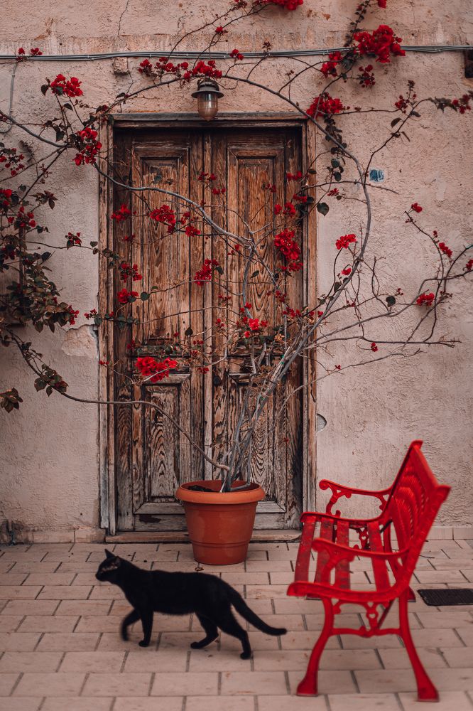 Photograph by Alexey Nikitin