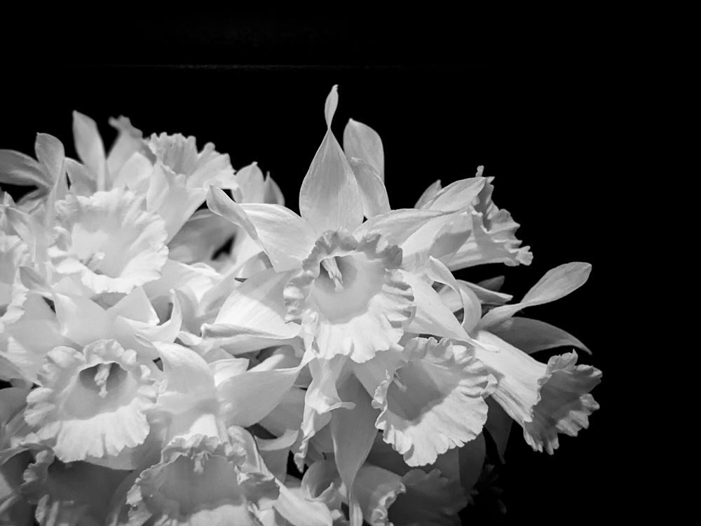 Photograph by Екатерина Абрамова