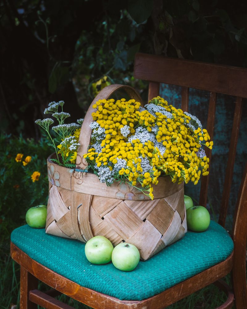 Photograph by Юлия Морозова