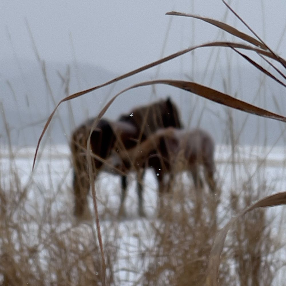 Photograph by Ольга Кондакова