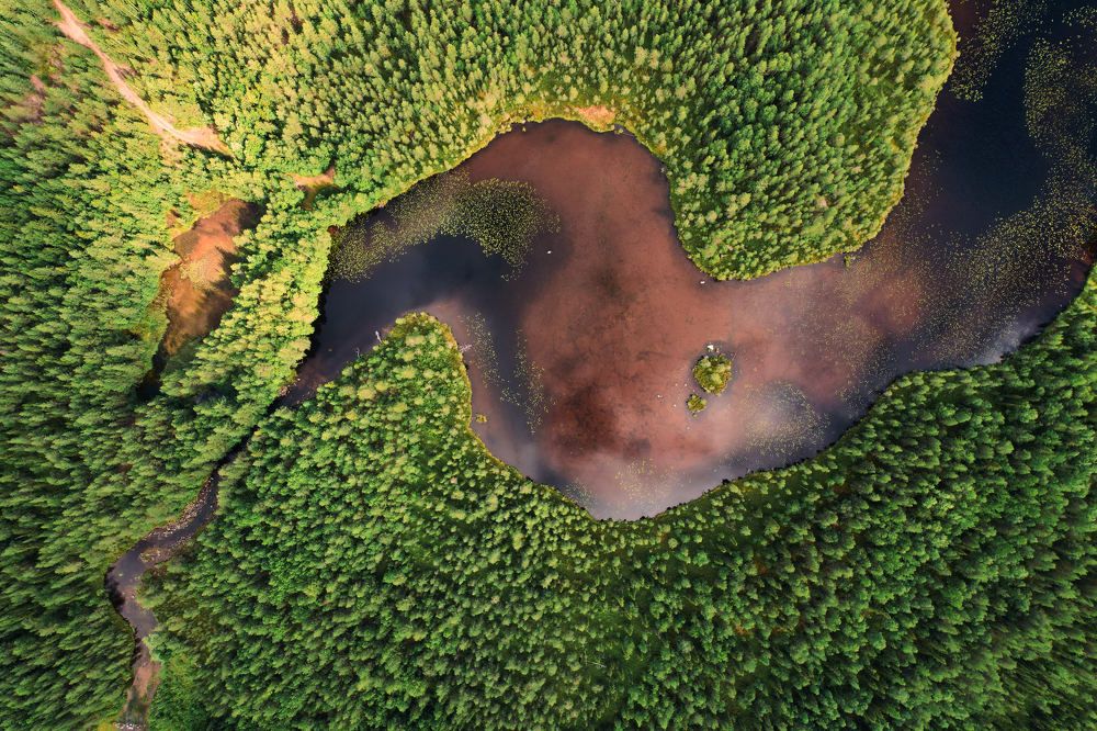 Photograph by Андрей Золотницын