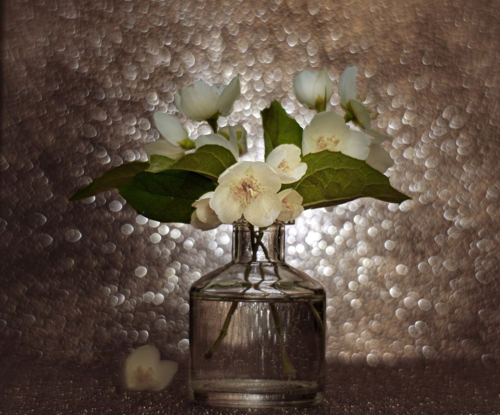 Photograph by Альфия