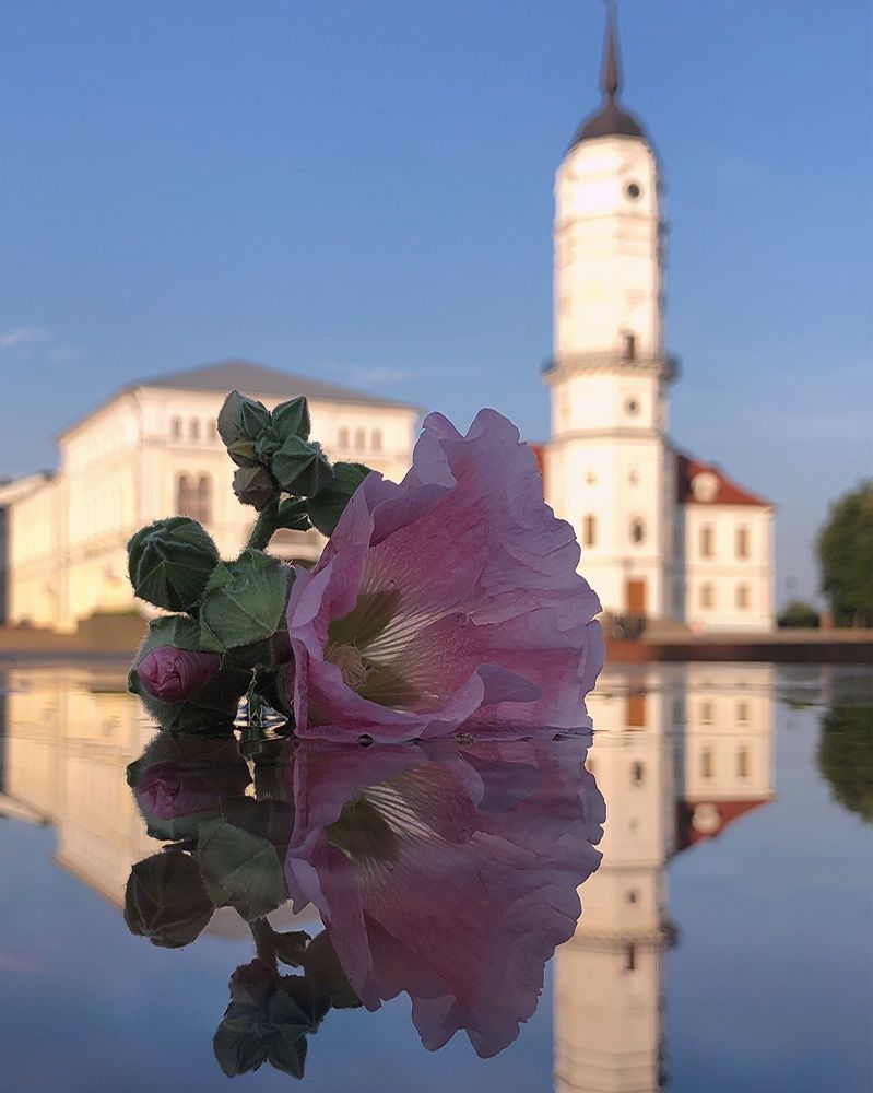 Photograph by Halina Mitsevich