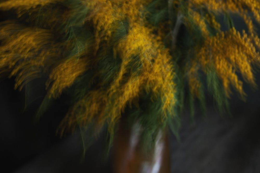 Photograph by Евгения Цой