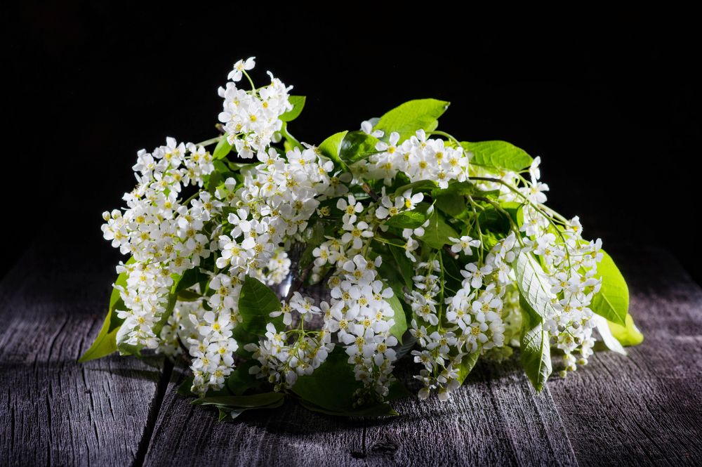 Photograph by Евгений Жуланов