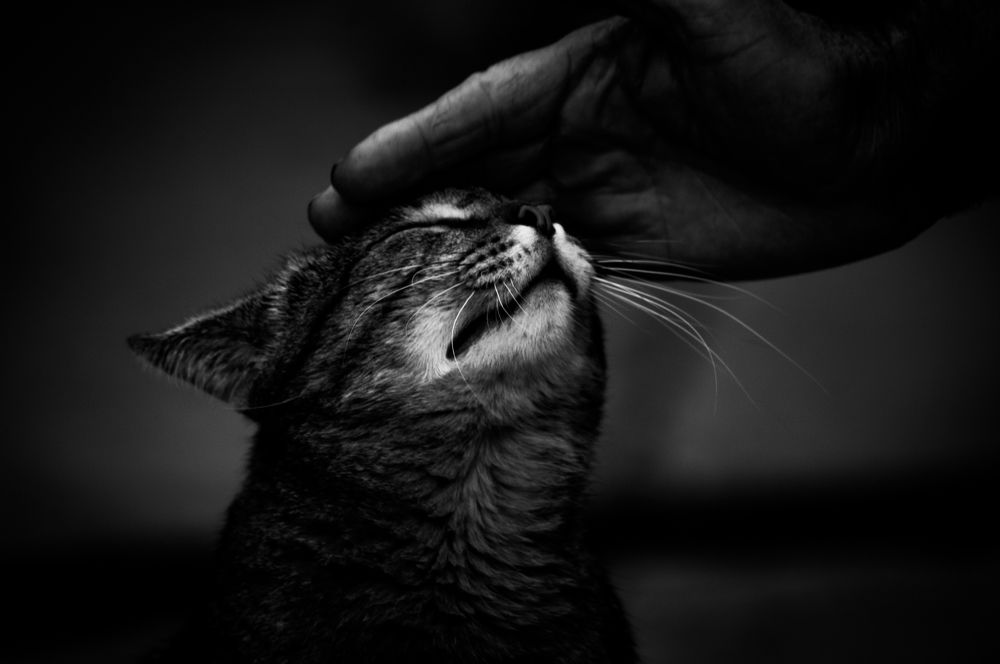 Photograph by Shumanskiy Anton