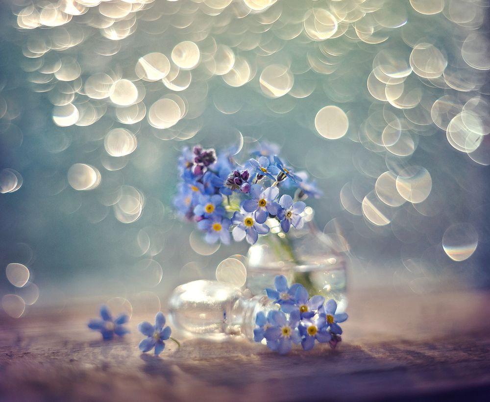 Photograph by Dana S.