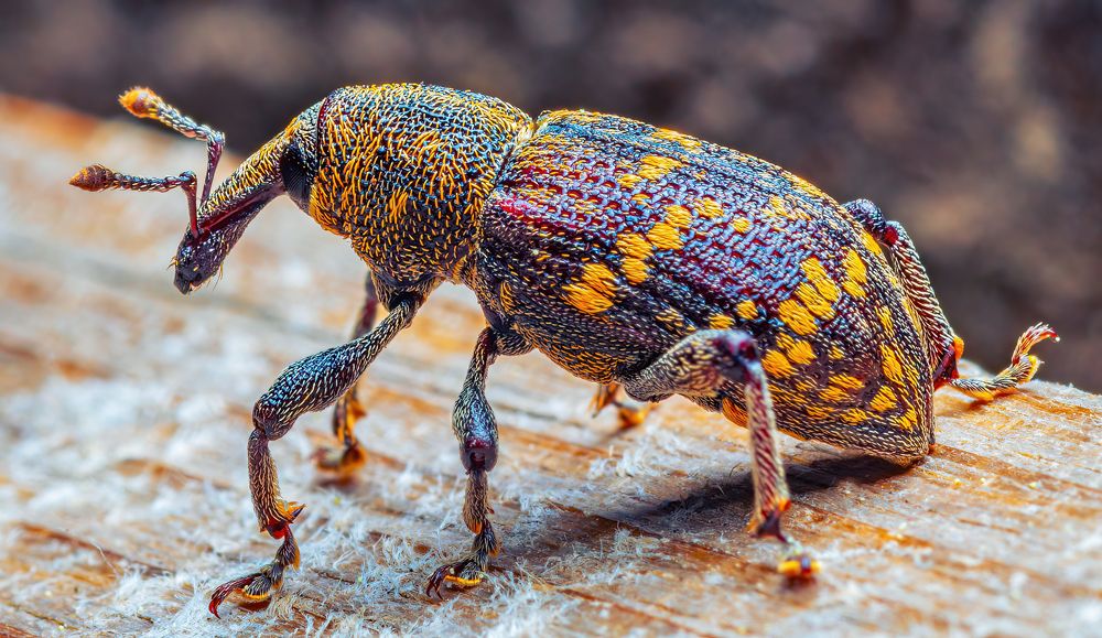 Photograph by Парфентьев Антон