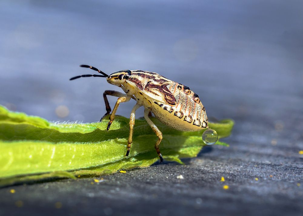 Photograph by Валерий Пегушев