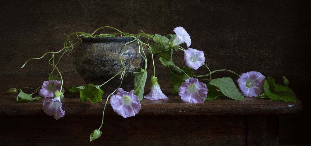 Photograph by Марина Кулакова