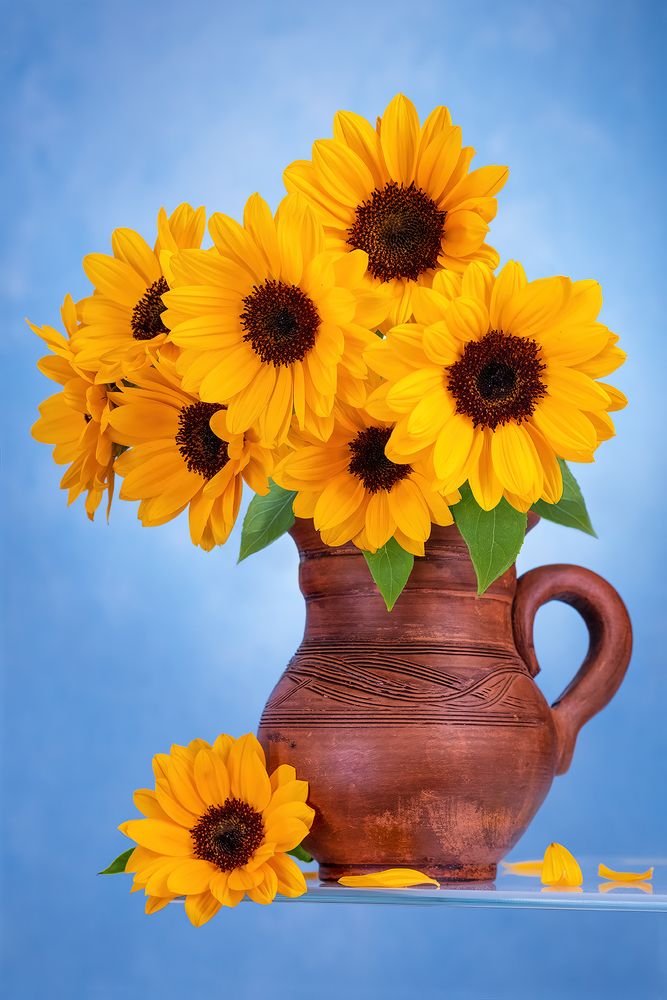 Photograph by Fischer Andreas