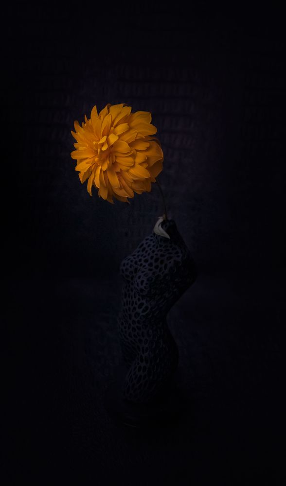 Photograph by Татьяна Колесникова