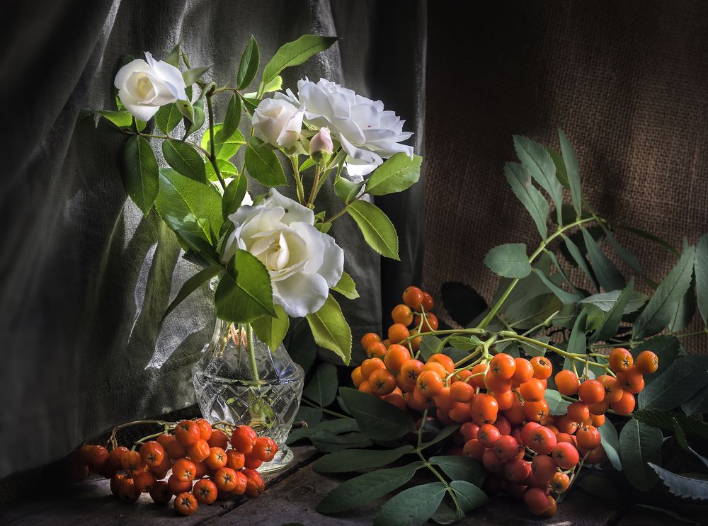 Фотография автора Milena Ivanova