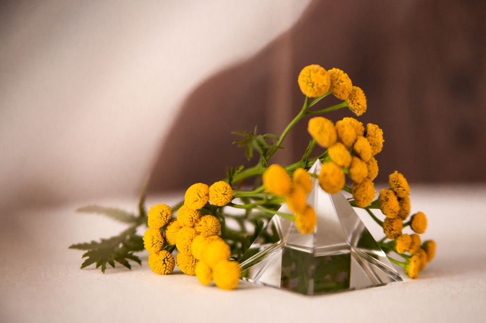 Photograph by Marina Moreva