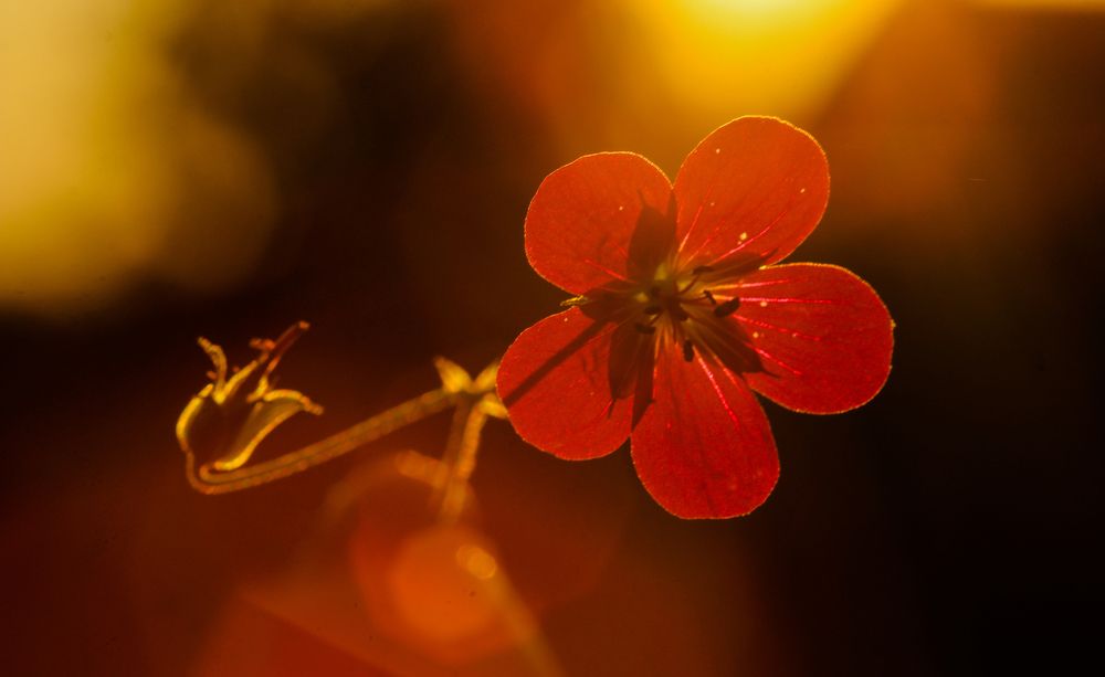 Photograph by Виктория Писаренко