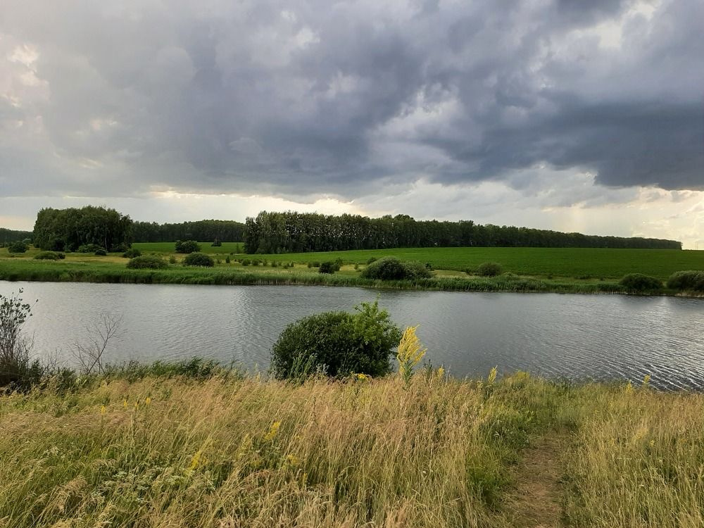 Photograph by Elena Goreva