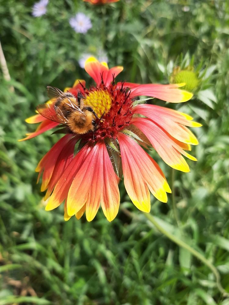 Photograph by Elena Goreva