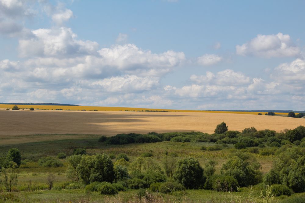 Photograph by Анна Толмачева