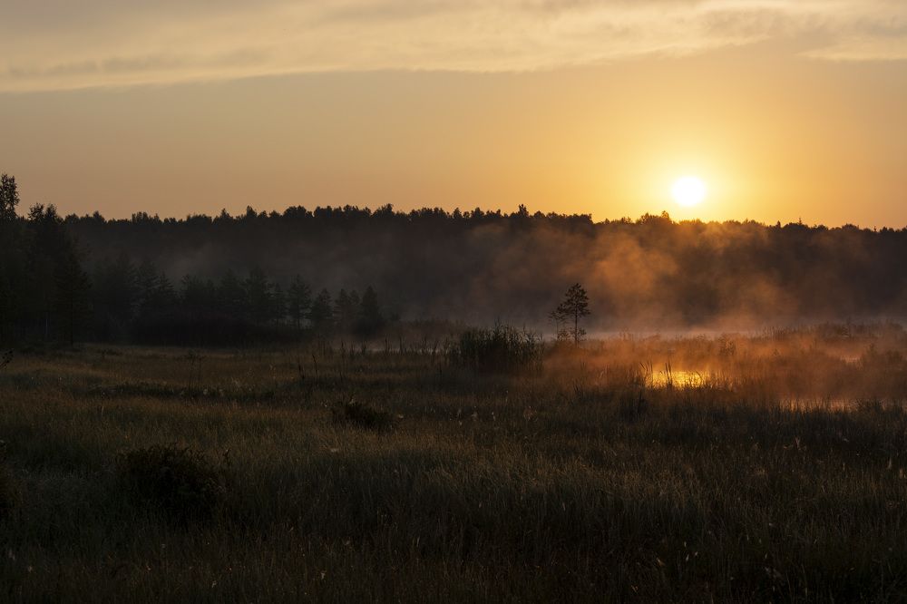 Фотография автора Надежда Павлова