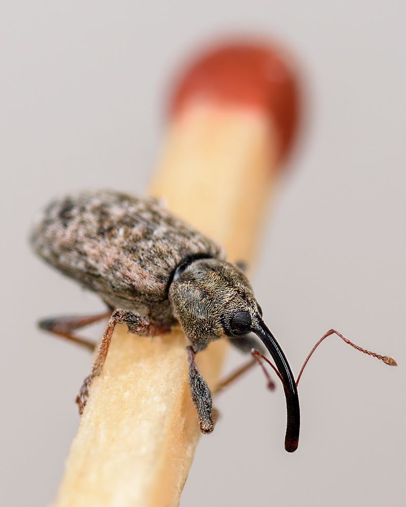 Фотография автора Владимир Зубков