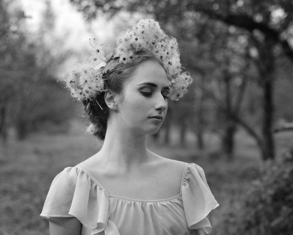 Photograph by Tkachenko Anastasia